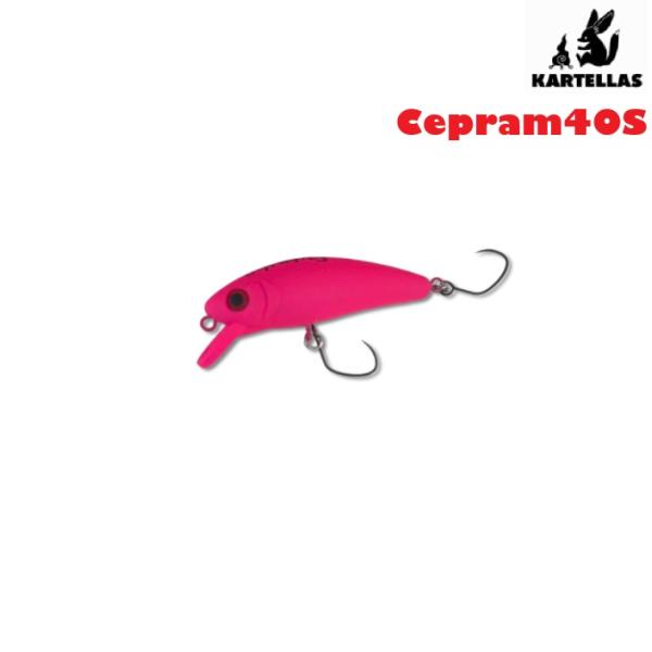 カルテラス KARTELLAS チェプラム 人気カラー10個セット page-0001_ea10eccb-10fc-4fc6-