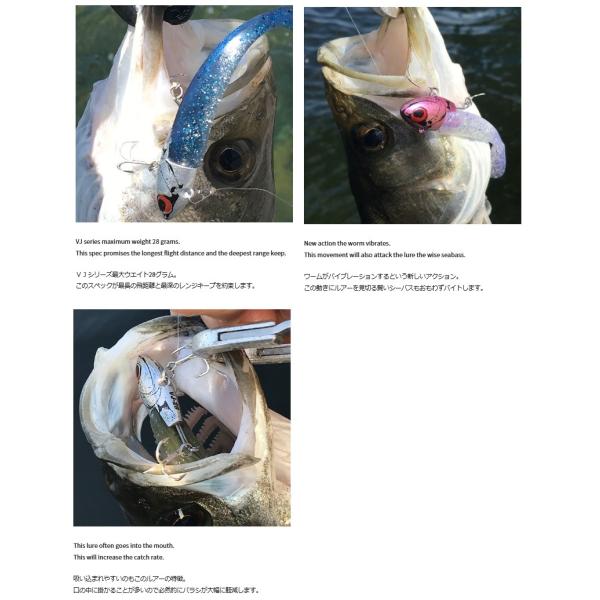 openwater_coreman-vj-28_2