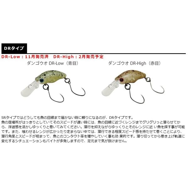 openwater_dangouo-dr-low_2_d_20250623174732