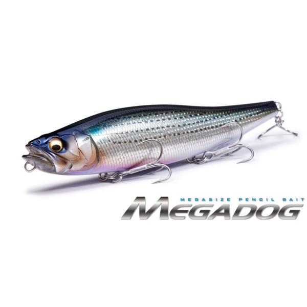 メガバス　メガドッグ220 コノシロカラー2本セット Megabass（メガバス） メガドッグ 220mm / 130g : オープンウォーター