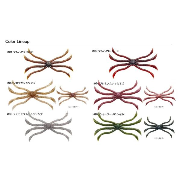 openwater_octopus_1_d_20260304131801
