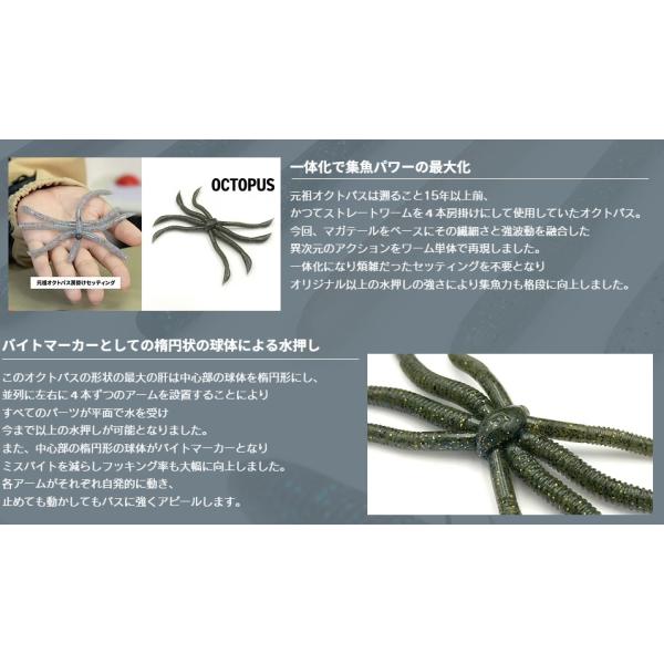 openwater_octopus_2_d_20260304131802