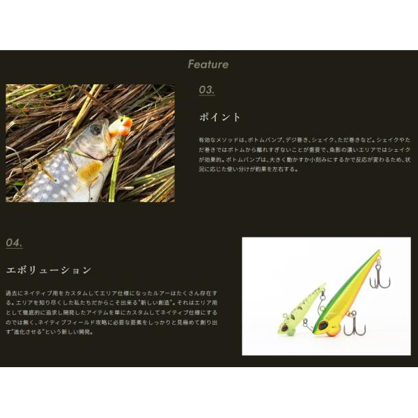 openwater_shineride70_3_d_20260307220029