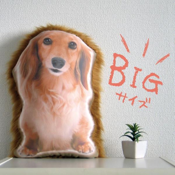 ビッグサイズ 犬 猫 ペット 動物 ダックス クッション ぬいぐるみ インテリア メモリアル プレゼント オーダーメイド 画像 写真 フサフサ  :cushion-fusafusa-dax-big:ORIGINAL PET GOODS ONE - 通販 - Yahoo!ショッピング
