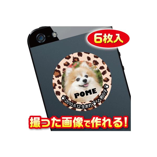 @D@XebJ[/V[@I[_[Ch/IWi@X}z/KP[/P[^C@ʐ^/O@6@c001