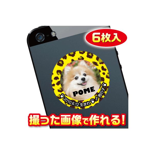 @D@XebJ[/V[@I[_[Ch/IWi@X}z/KP[/P[^C@ʐ^/O@6@c006