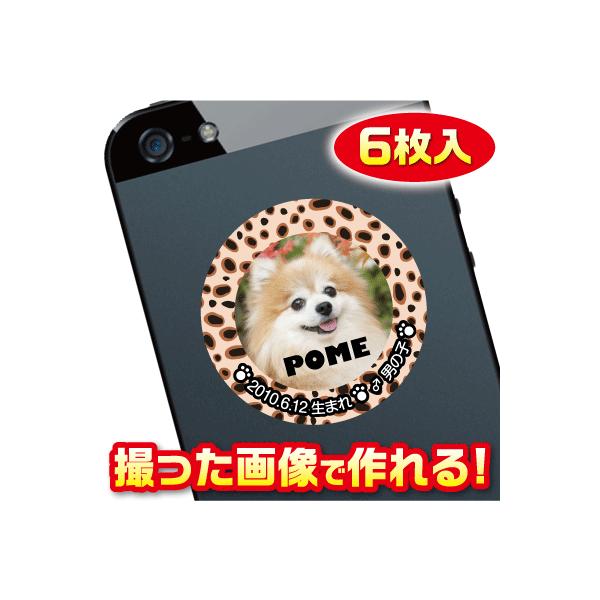 @D@XebJ[/V[@I[_[Ch/IWi@X}z/KP[/P[^C@ʐ^/O@6@c010