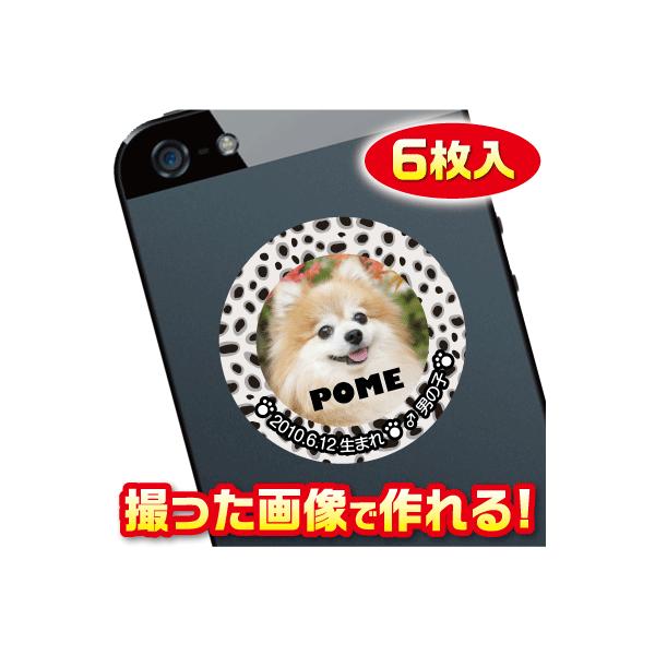 @D@XebJ[/V[@I[_[Ch/IWi@X}z/KP[/P[^C@ʐ^/O@6@c013