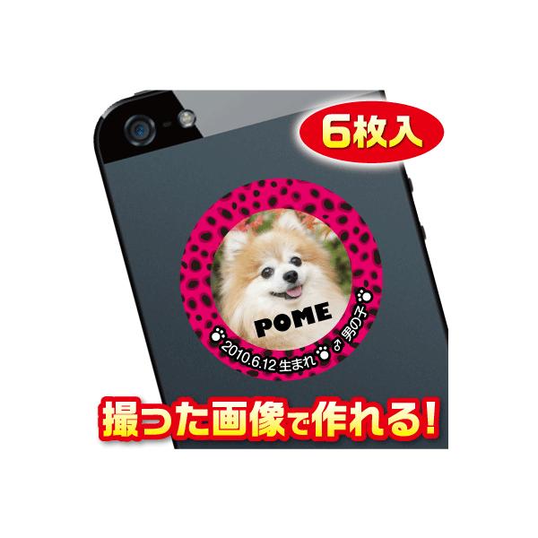 @D@XebJ[/V[@I[_[Ch/IWi@X}z/KP[/P[^C@ʐ^/O@6@c014