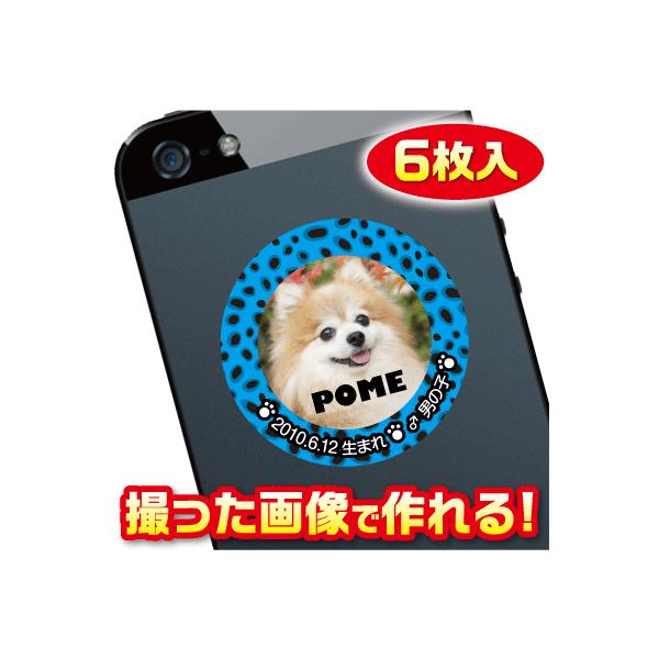 @D@XebJ[/V[@I[_[Ch/IWi@X}z/KP[/P[^C@ʐ^/O@6@c016