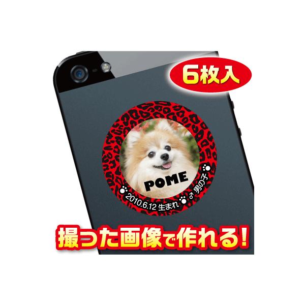 @D@XebJ[/V[@I[_[Ch/IWi@X}z/KP[/P[^C@ʐ^/O@6@c026