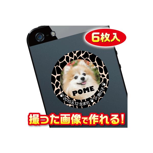 @D@XebJ[/V[@I[_[Ch/IWi@X}z/KP[/P[^C@ʐ^/O@6@c028