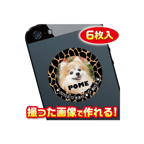 @D@XebJ[/V[@I[_[Ch/IWi@X}z/KP[/P[^C@ʐ^/O@6@c029