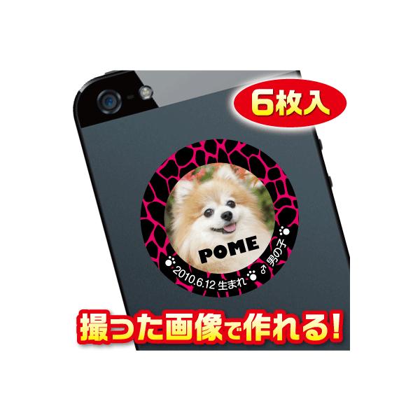 @D@XebJ[/V[@I[_[Ch/IWi@X}z/KP[/P[^C@ʐ^/O@6@c032