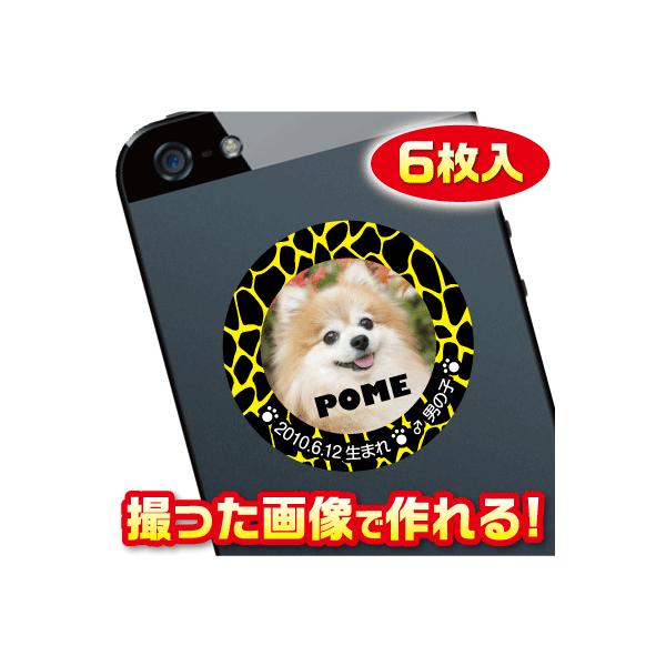 @D@XebJ[/V[@I[_[Ch/IWi@X}z/KP[/P[^C@ʐ^/O@6@c033