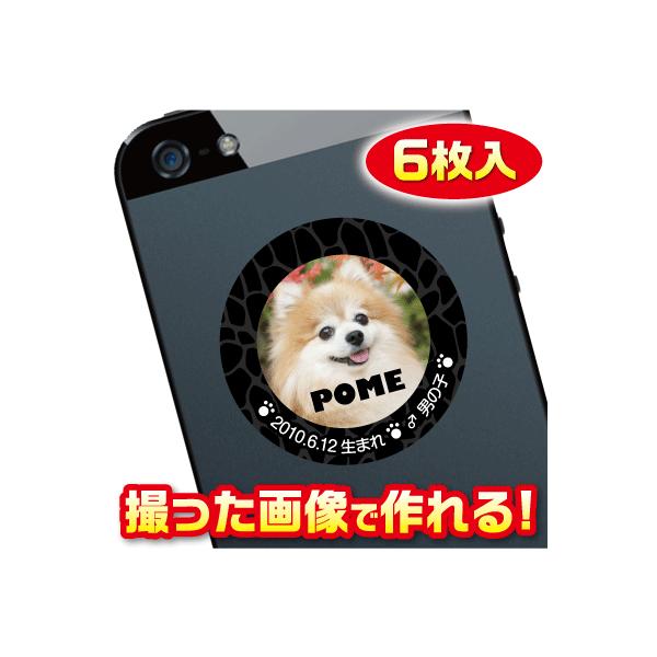 @D@XebJ[/V[@I[_[Ch/IWi@X}z/KP[/P[^C@ʐ^/O@6@c036