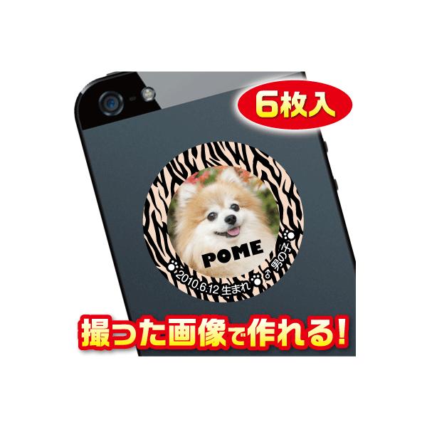 @D@XebJ[/V[@I[_[Ch/IWi@X}z/KP[/P[^C@ʐ^/O@6@c037