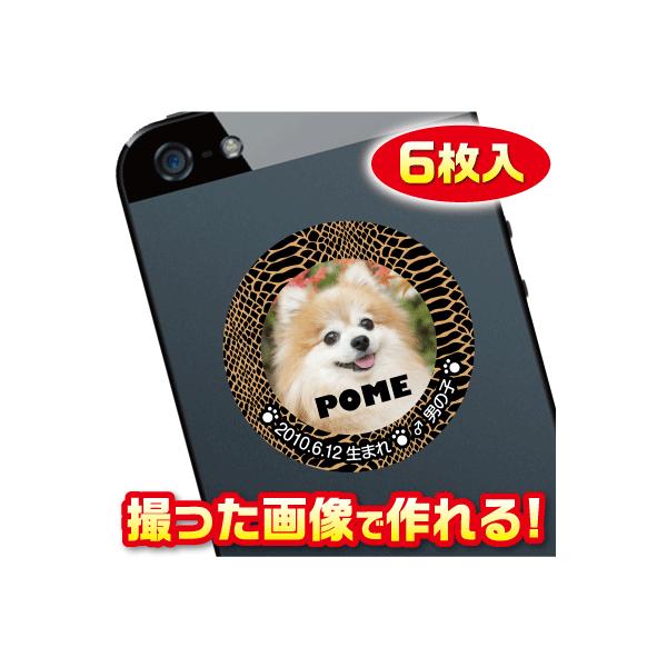 @D@XebJ[/V[@I[_[Ch/IWi@X}z/KP[/P[^C@ʐ^/O@6@c047