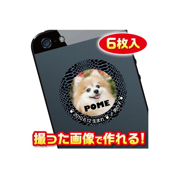 @D@XebJ[/V[@I[_[Ch/IWi@X}z/KP[/P[^C@ʐ^/O@6@c048