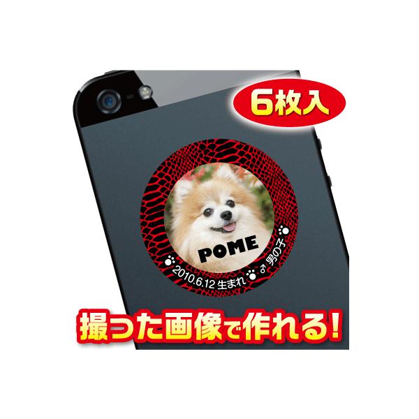 @D@XebJ[/V[@I[_[Ch/IWi@X}z/KP[/P[^C@ʐ^/O@6@c053