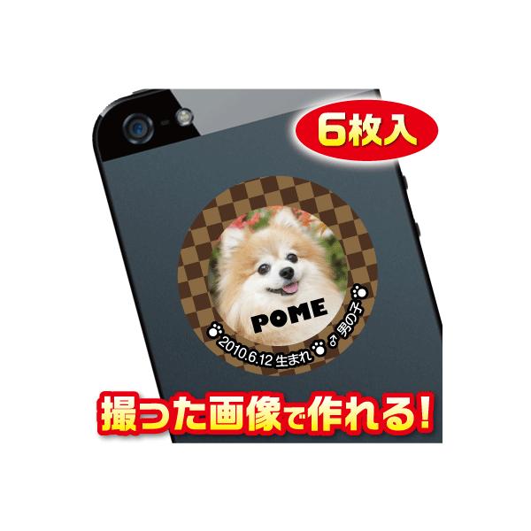 @D@XebJ[/V[@I[_[Ch/IWi@X}z/KP[/P[^C@ʐ^/O@6@c066