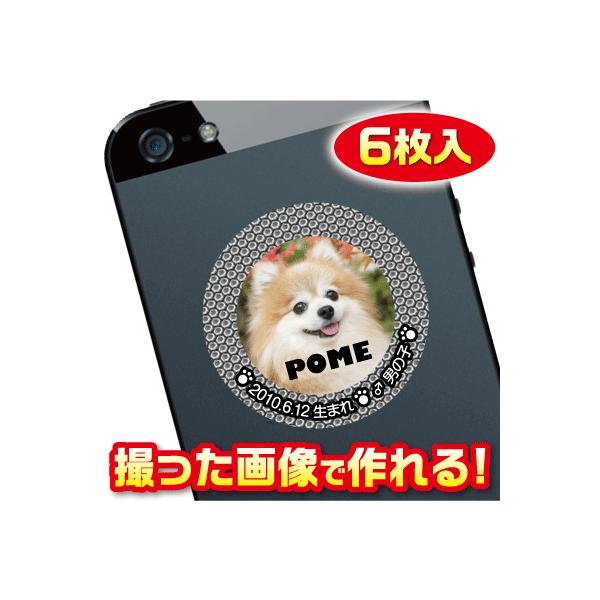 @XebJ[/V[@I[_[Ch/IWi@X}z/P[^Cp@ʐ^@6@c073