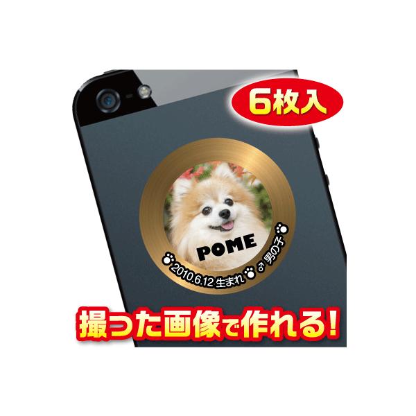 @IWi/I[_[Ch@XebJ[/V[@X}z/P[^Cp@ʐ^gp@6@c076