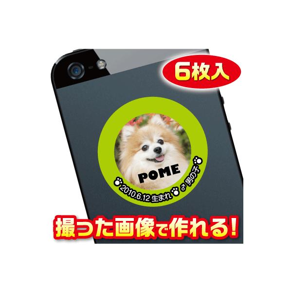 XebJ[/V[@ʐ^@p@IWi/I[_[Ch@X}z/P[^Cp@摜gp@6@c081