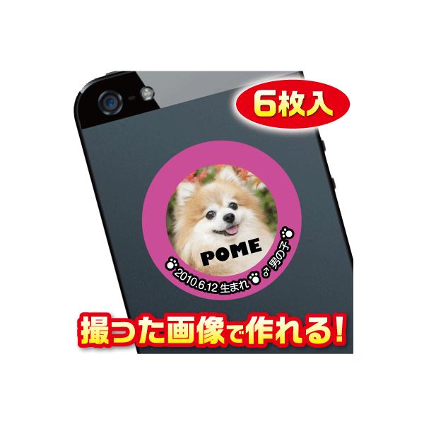 X}z/P[^Cp@XebJ[/V[@@IWi/I[_[Ch@ʐ^gp@6@c082