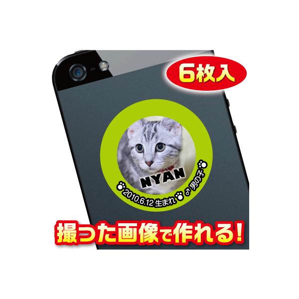 L@D@XebJ[/V[@I[_[Ch/IWi@X}z/KP[/P[^C@ʐ^/O@6@@c081