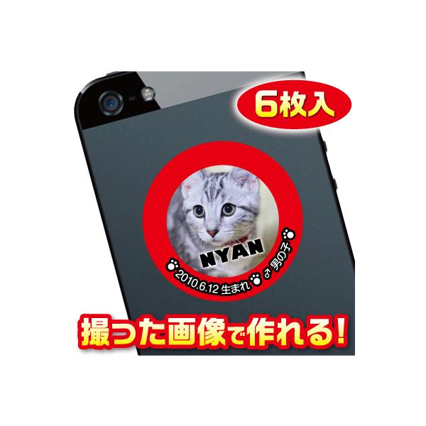 L@D@XebJ[/V[@I[_[Ch/IWi@X}z/KP[/P[^C@ʐ^/O@6@@c086