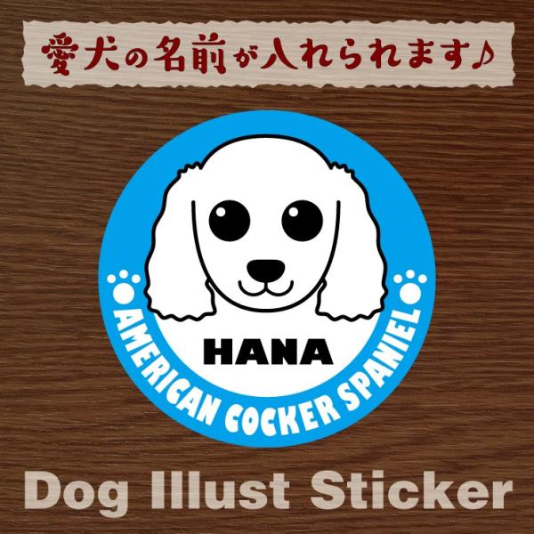 @ybg@AJRbJ[XpjG@XebJ[/V[@O@I[_[Ch/IWi@ԗp@01