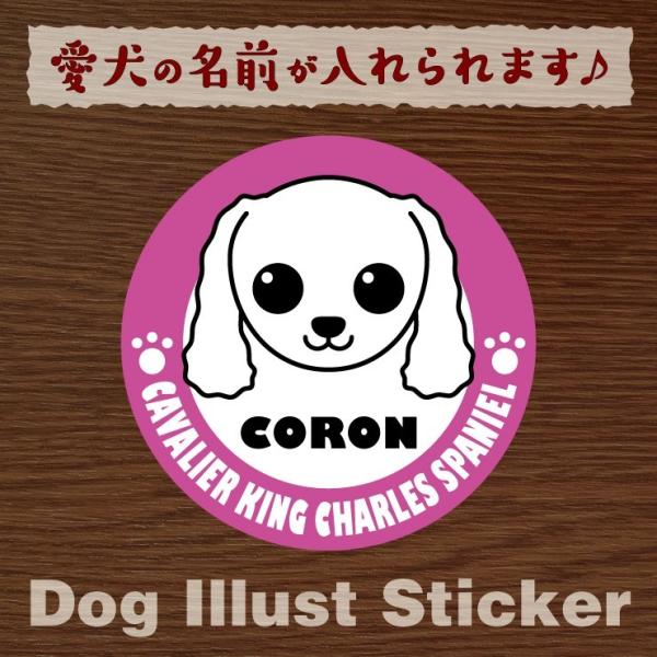 @ybg@LoA@XebJ[/V[@O@I[_[Ch/IWi@ԗp@08