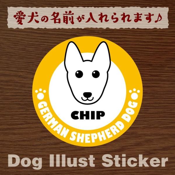 @ybg@VFp[h@XebJ[/V[@O@I[_[Ch/IWi@ԗp@12