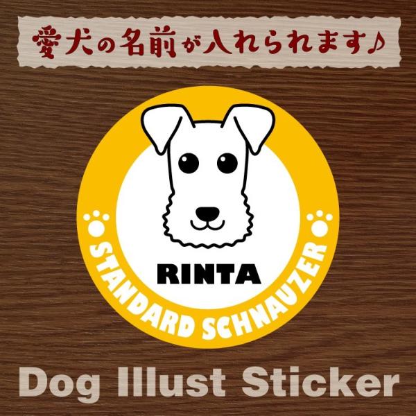 @ybg@X^_[hViEU[@XebJ[/V[@O@I[_[Ch/IWi@ԗp@18