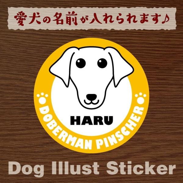 @ybg@h[x}@XebJ[/V[@O@I[_[Ch/IWi@ԗp@30