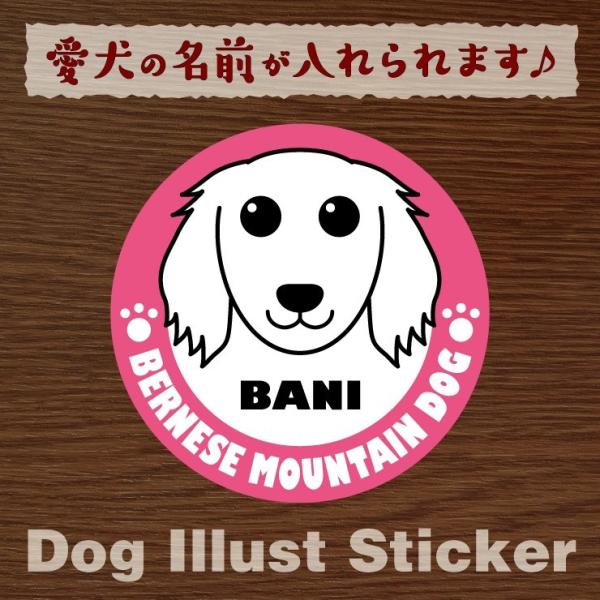 @ybg@o[j[Y@XebJ[/V[@O@I[_[Ch/IWi@ԗp@34