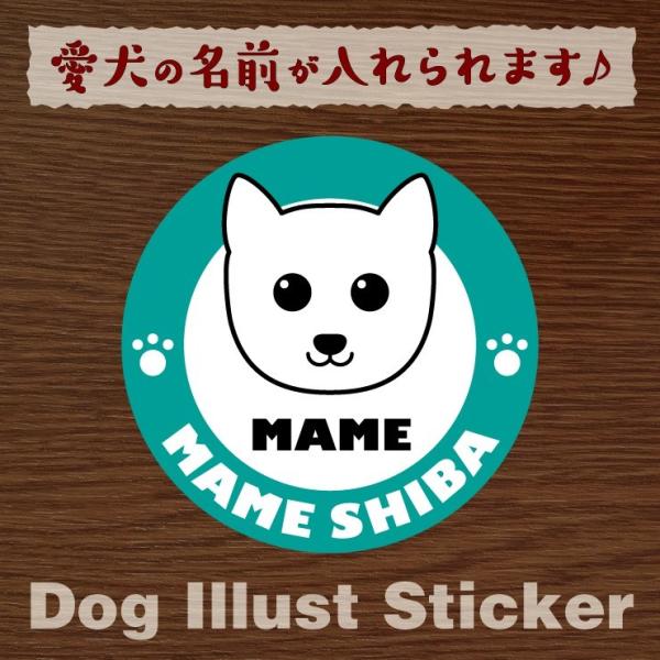 @ybg@}ā@XebJ[/V[@O@I[_[Ch/IWi@ԗp@47