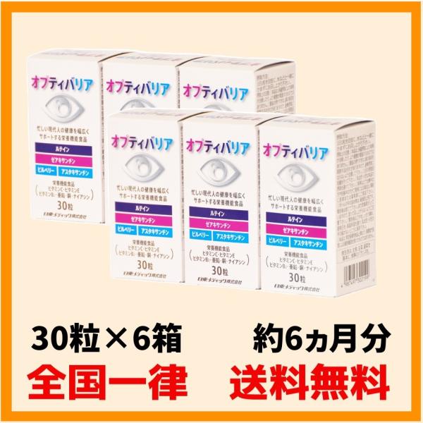 オプティバリア6箱（30粒×6箱）日東メディック ルテイン 