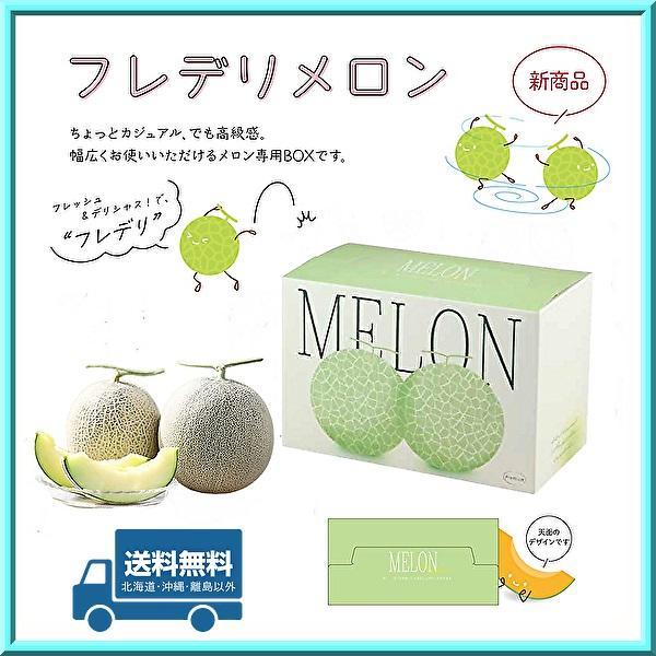 メロン箱 フレデリメロン 2ヶ用 100枚 信和株式会社 送料無料 