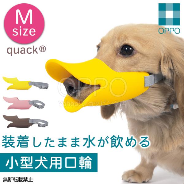 ■商品説明かわいいアヒル口のデザインが人気ダックスフンドやミニチュアピンシャーなどの小型〜中型犬用のマズルです。人とペットのちょうどよい関係のために、気軽に使える口輪です。しつけ用や拾い食い・無駄吠え・噛み付き防止に。ソフトなシリコン素材で...