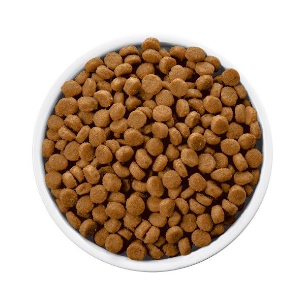 ヒルズ 犬用 C D 12 4ｋｇ 療法食 ドッグフード Cd 並行輸入品 Buyee Buyee Japanese Proxy Service Buy From Japan Bot Online