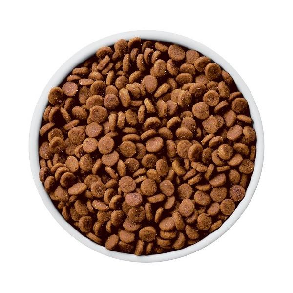 ヒルズ 犬用 K D 12 4ｋｇ 療法食 ドッグフード Kd 並行輸入品 Buyee Buyee Japanese Proxy Service Buy From Japan Bot Online