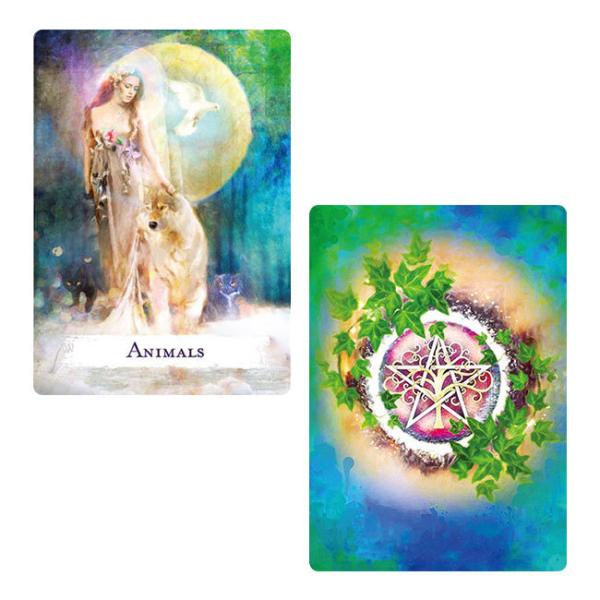 oraclecards_bcrd01227_1