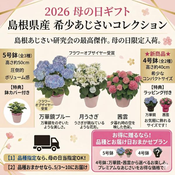 母の日対応商品】島根の傑作あじさい「万華鏡」「月うさぎ」「茜雲