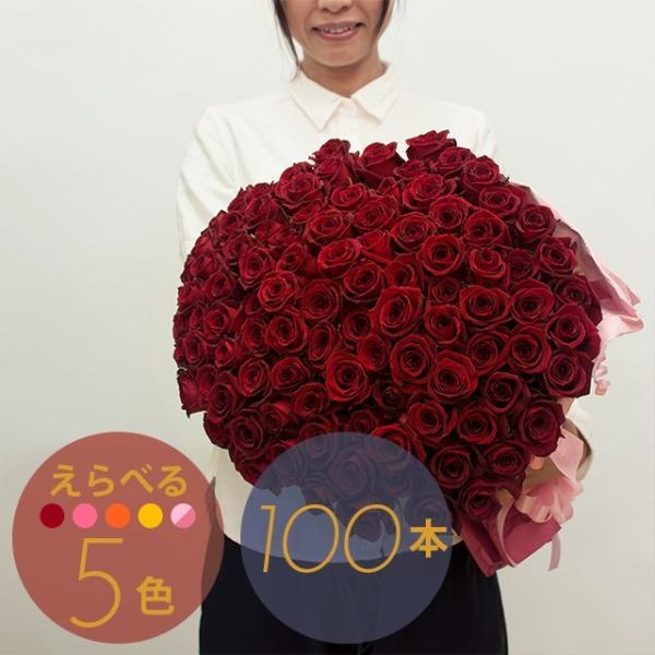 バラ100本の花束 カラーが選べる5色 : フラワーショップ オランダ屋 