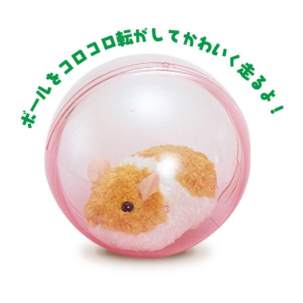 イワヤ ランランハムスター Runrun Hamster 送料無料 沖縄 一部地域を除く Orange Baby 通販 Yahoo ショッピング