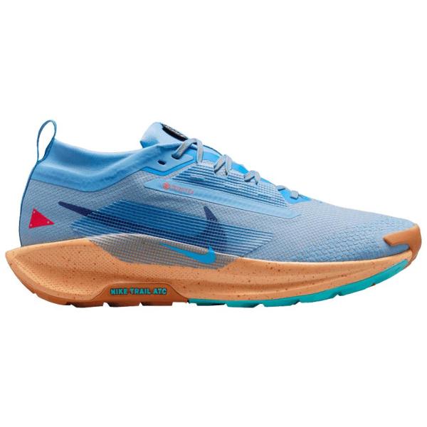 NIKE ナイキ FQ0908-400 ペガサス トレイル 5 ゴアテックス 'ブルー Beyond Copper Moon' メンズ