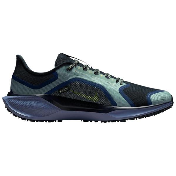 NIKE ナイキ FQ1356-006 Nike エア ズーム ペガサス 41 ゴアテックス 'Cannon Obsidian' メンズ