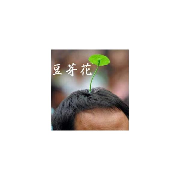 Newタイプ 豆芽花 菜苗花 ドウヤーファー 中国で大ブームのもやしの芽が日本に初上陸 ネコポス便は送料無料 楽天市場で限定販売 キノコ Doya2 オレンジマミー 通販 Yahoo ショッピング